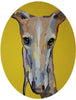 _Galgo sobre amarillo